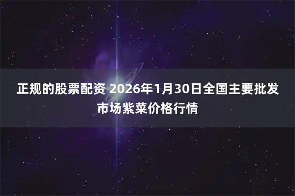 正规的股票配资 2026年1月30日全国主要批发市场紫菜价格行情